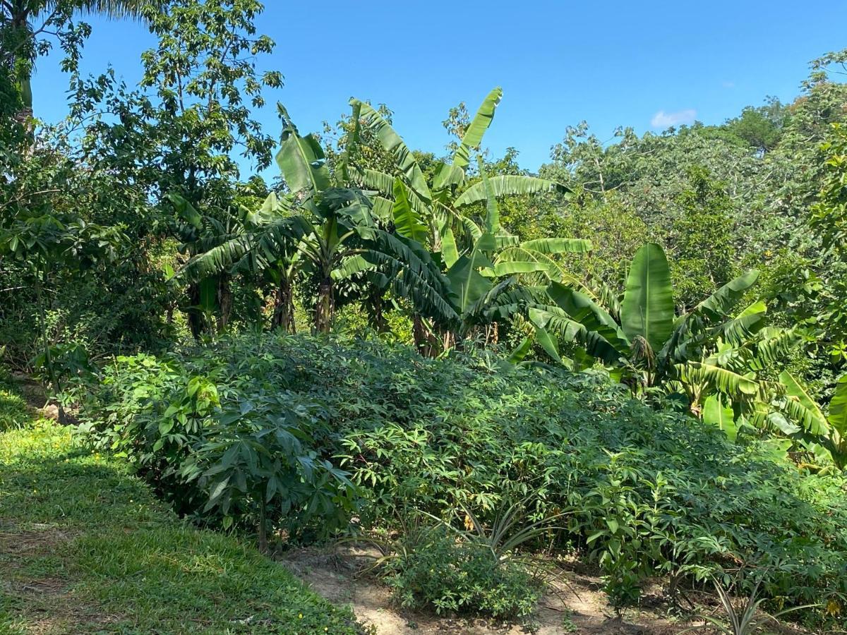 Gaestezimmer In Der Villa Zimmer Jarabacoa Kültér fotó
