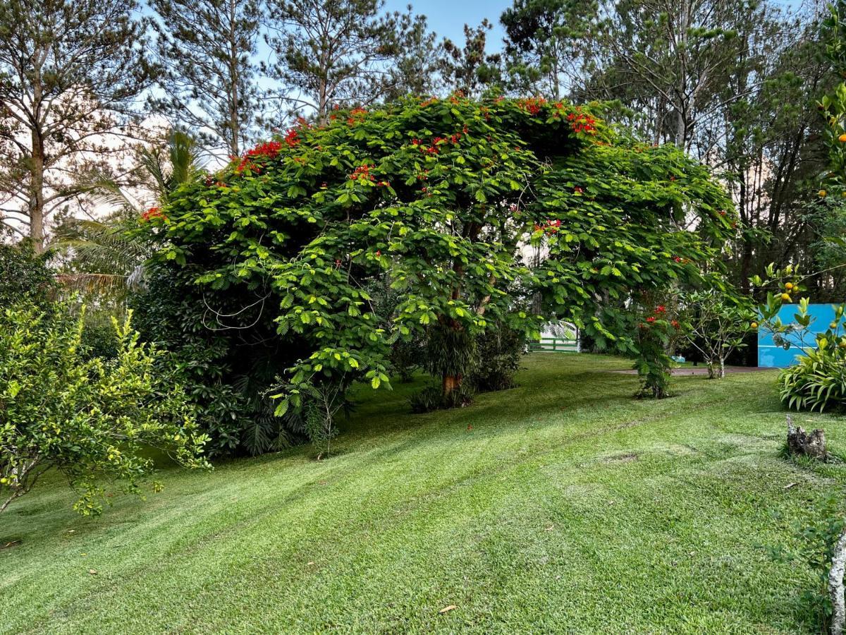 Gaestezimmer In Der Villa Zimmer Jarabacoa Kültér fotó